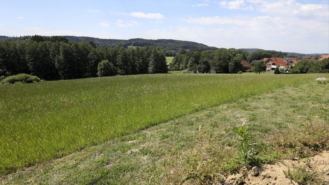 Für das Baugebiet am Johann-Spratte-Weg wurde ein spezielles Energiekonzept entwickelt und nun verabschiedet (Archivfoto von Gert Westdörp)